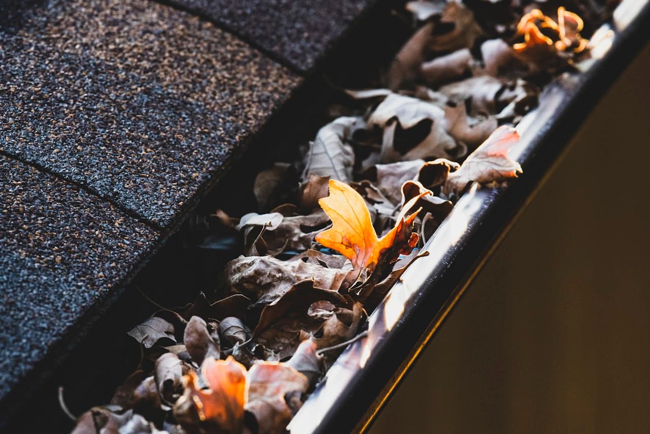 Gutter Cleaning on Long Island by Shineback Window Washing